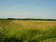 Campagne